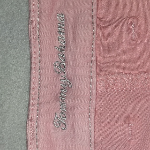 NWT Tommy Bahama Boracay Beach Pink Soft Denim Skirt, Size 12 - Picture 2 of 9